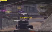 森之国度金猫怎么选择